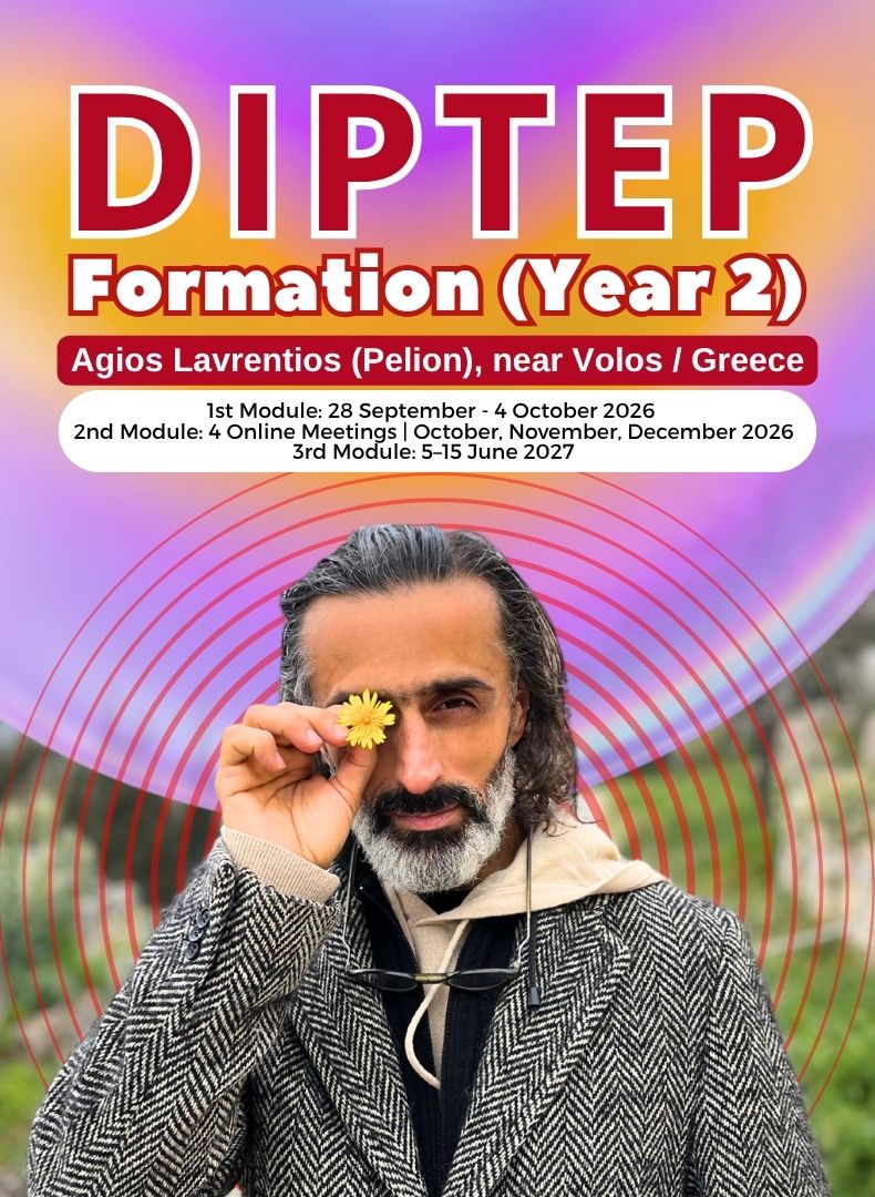 DIPTEP – Formation (Year 2)